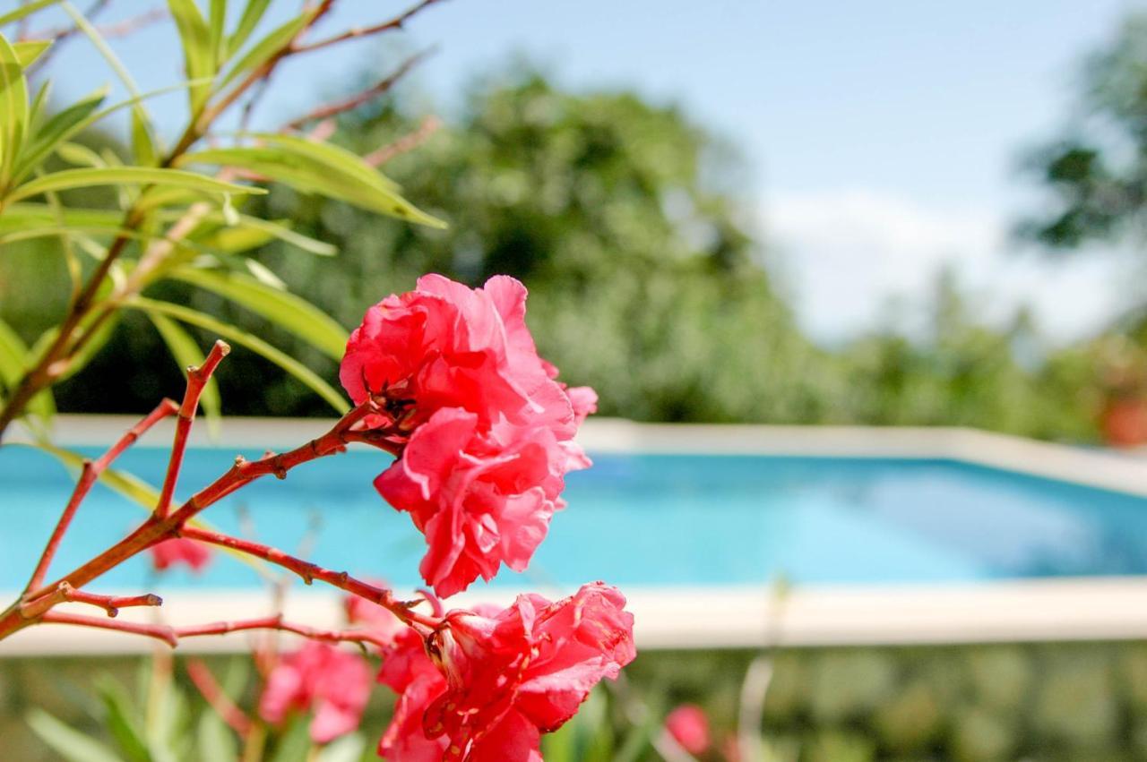 Villa Regina Serafina Balchik Bagian luar foto